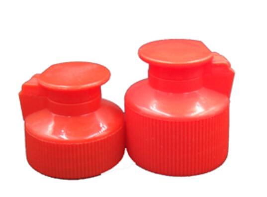 Plastic Flip Cap Shampoo Bottle Lid2.jpg